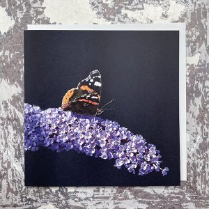 Butterfly-buddleia-greeting-card-by-Sarah-Taylor-Studio